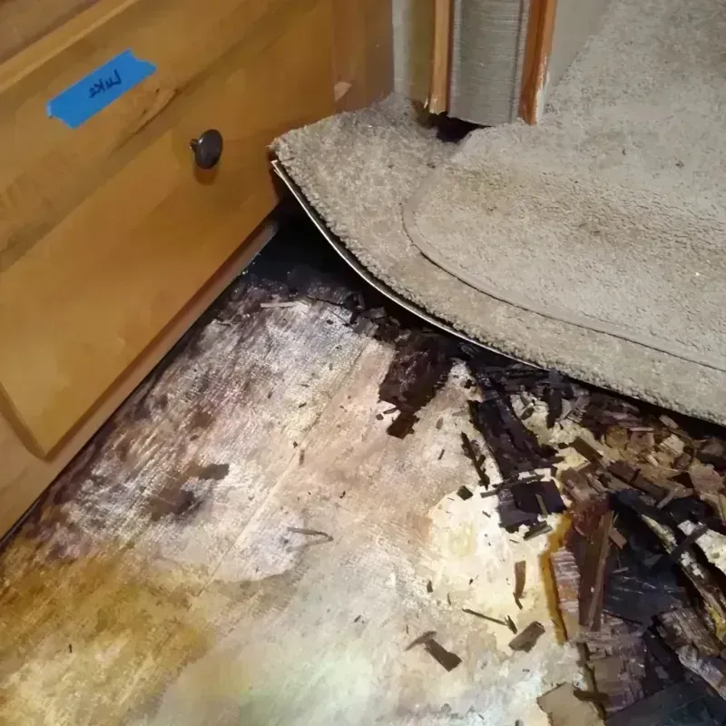 Wood Floor Water Damage in Norfolk, VA